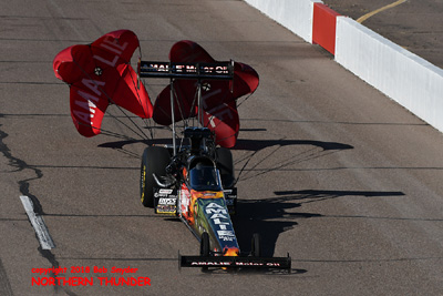 Terry McMillen TF